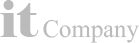 it company